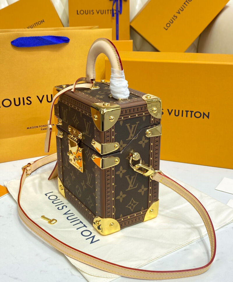 Louis Vuitton Camera Box M10079 Brown